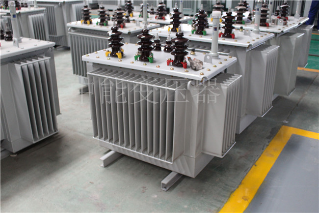 常州S22-250KVA/10KV变压器